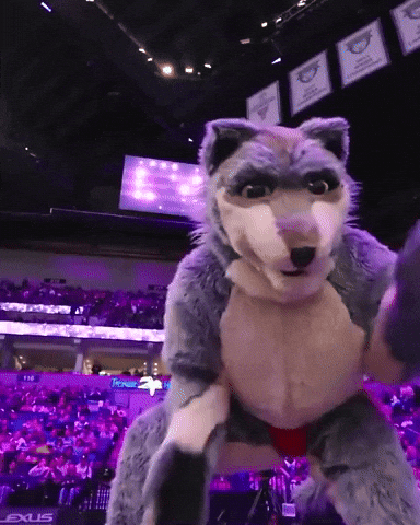 Nba Hype GIF by Minnesota Timberwolves