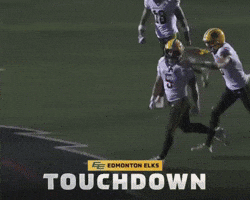 Celebration GIF