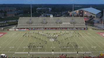 penguins ysu GIF by Youngstown State University