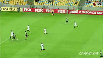soccer miss santos fred
