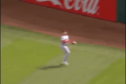 Animated GIF - Find & Share on GIPHY