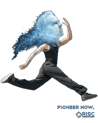 Teamrisc Sticker by risc_software