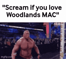 Woodlands GIF