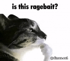 Cat Baiting GIF