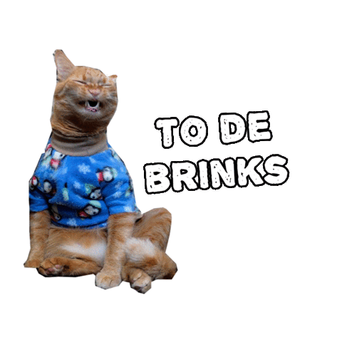 Gato Sticker