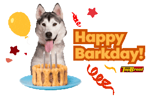 Universal Robina Sticker