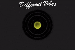 We Surf Camps GIF