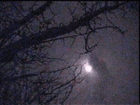 pix Janos Slynt Gif janos slynt gifs get the best gif on