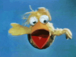 muppetwiki sesame street muppets jim henson big bird GIF