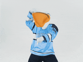 PelicansFi dance celebration hockey mascot GIF