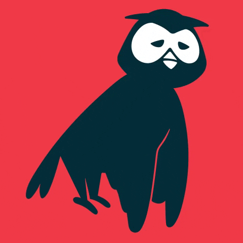 Sad Owl GIF by Hootsuite
