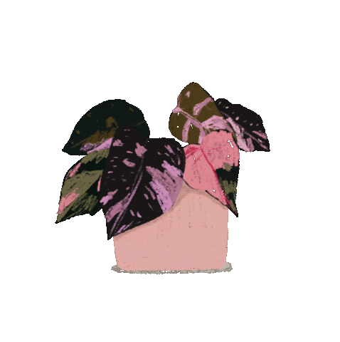 Plant Sticker