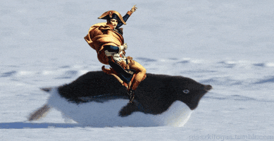 napoleon borntopart