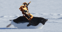 napoleon GIF
