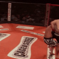 Wwe Mind Blown GIF by Caged Steel