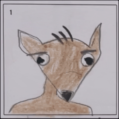Film Festival Deer GIF by La Guarimba Film Festival