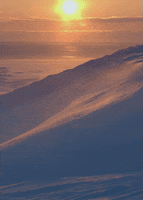 200.gif?cid=fc005b082ec7561d335b9d8dfd8b7e97c5f630b9385d8391&rid=200.gif&ct=g