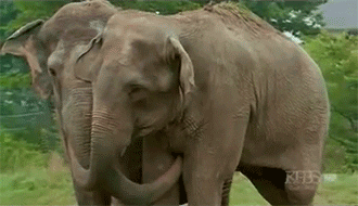 feel good video GIF