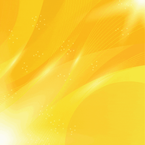 Bundle GIF