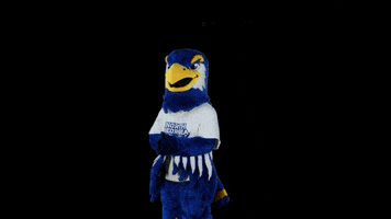 Nigel Nighthawks GIF by University of North Georgia