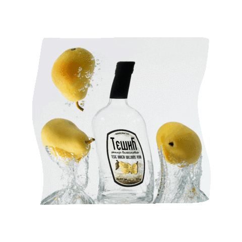 TesicRakija Sticker