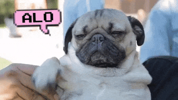 Dog GIF