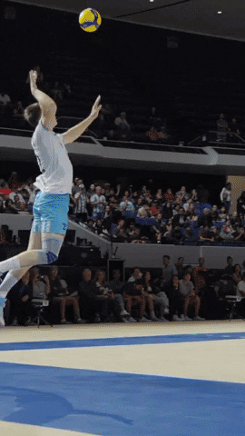 Sport Wow GIF by Volleyball World