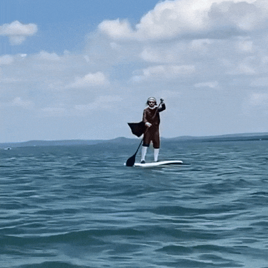 Paddleboarding GIFs Find & Share on GIPHY