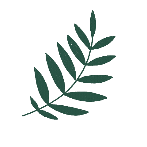 Plant Sticker