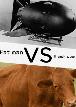 Fatmanvsasickcow GIF