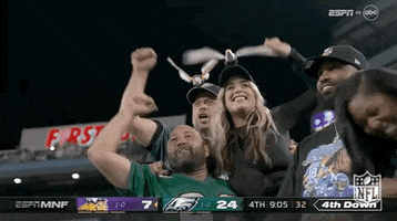 Fly Eagles Fly Football GIF by NFL