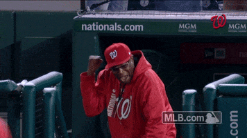 Washington Nationals Celebration GIF by MLB