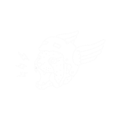 Bicycle Cheetah Sticker by NULLKOMMASIEBENPROZENT