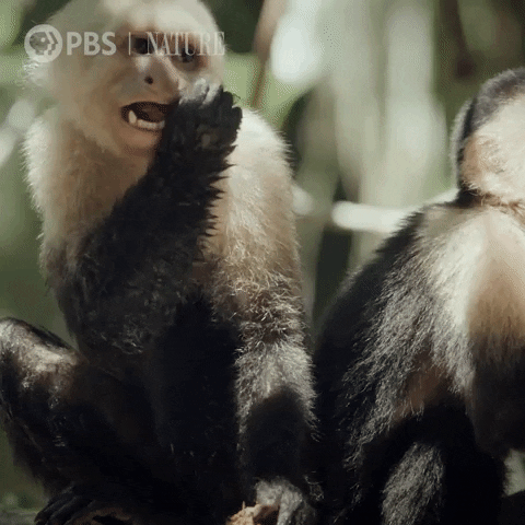 Pbs Nature Love GIF by Nature on PBS
