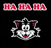 Black Cat Lol GIF by Ted & Herb