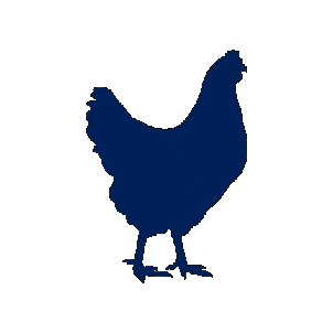 Freshlay Farms Golden Yolker Sticker