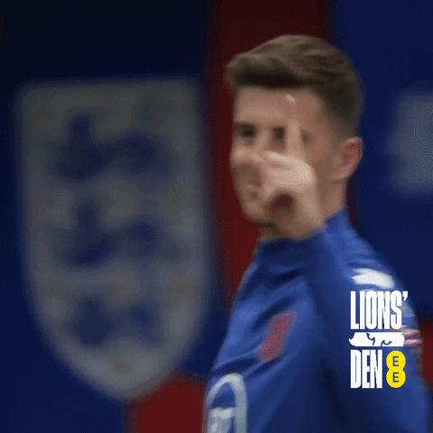 Three Lions Celebration GIF by EE