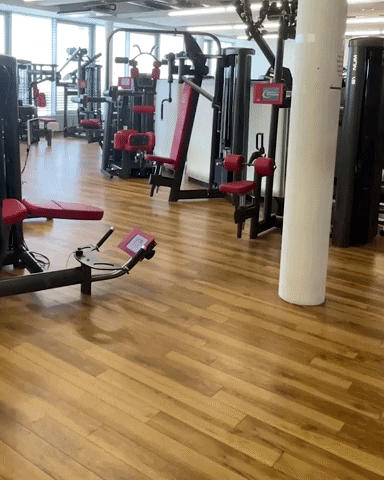Work Out Lol GIF by Bayer 04 Leverkusen