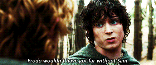 Image result for frodo and sam gif