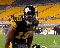 Pittsburgh Steelers Dance GIF by NFL