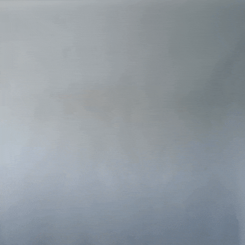 Bob GIF