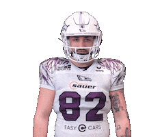 Reutlingen Eagles Sticker