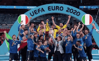 Euro Cup Football GIF