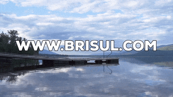 Bri Sul GIF