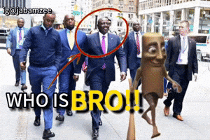 Triple T Who Is That GIF
