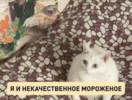 Мороженое Тошнит GIF by Роскачество Мороженое Тошнит GIF by Роскачество