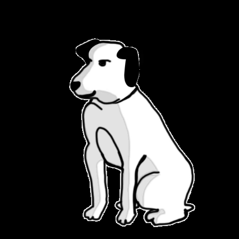 Dog Listen GIF
