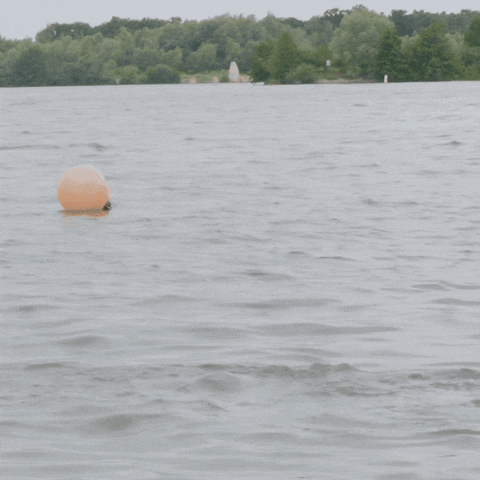 Band Singing GIF by Teacher's Crush