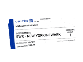 New York Travel Sticker by United Airlines