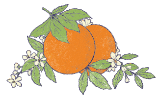 Summer Illustration Sticker by Graham and Green